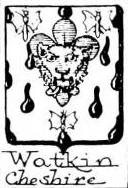 Watkin Coat of Arms / Family Crest 0