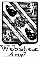 Webster Coat of Arms / Family Crest 1