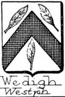 Wedigh Coat of Arms / Family Crest 0