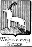 Wehsenig Coat of Arms / Family Crest 1