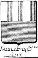 Weisenburg Coat of Arms / Family Crest 1