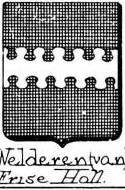 Welderen Coat of Arms / Family Crest 0