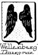 Wellenberg Coat of Arms / Family Crest 1