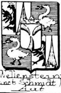 Wellenstein