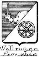 Wellmann Coat of Arms / Family Crest 0