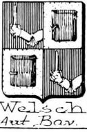 Welsch Coat of Arms / Family Crest 2