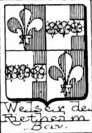 Welser Coat of Arms / Family Crest 5
