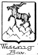 Wesenig Coat of Arms / Family Crest 0