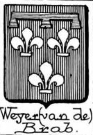 Weyer Coat of Arms / Family Crest 6