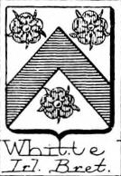 Whitte Coat of Arms / Family Crest 0
