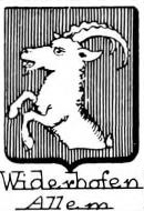 Widerhofen Coat of Arms / Family Crest 0