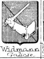 widmann Coat of Arms / Family Crest 4
