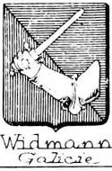 widmann Coat of Arms / Family Crest 6