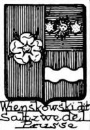 Wienskowski Coat of Arms / Family Crest 1