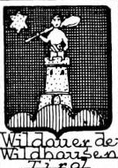 Wildauer Coat of Arms / Family Crest 0