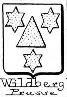 Wildberg Coat of Arms / Family Crest 9