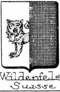 Wildenfels Coat of Arms / Family Crest 1