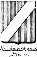 Wildenstein Coat of Arms / Family Crest 13