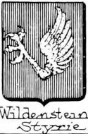 Wildenstein Coat of Arms / Family Crest 15