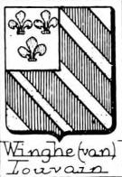 Winghe Coat of Arms / Family Crest 0