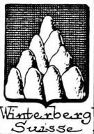 Winterberg Coat of Arms / Family Crest 1