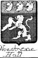 Woestyne Coat of Arms / Family Crest 1