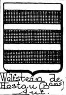 Wolfstein Coat of Arms / Family Crest 3