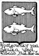 Wostrowsky Coat of Arms / Family Crest 0