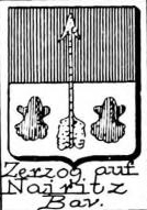 Zerzog Coat of Arms / Family Crest 0
