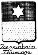 Ziegenhain Coat of Arms / Family Crest 1