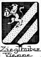Zieglhuber Coat of Arms / Family Crest 0
