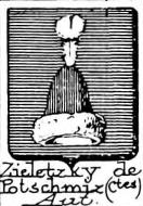 Zieletzky Coat of Arms / Family Crest 0