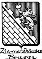 Ziemetshauser Coat of Arms / Family Crest 0