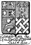 Zornberg Coat of Arms / Family Crest 7