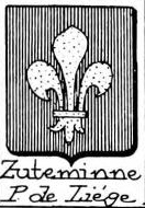 Zusto Coat of Arms / Family Crest 1