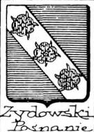 Zydowski Coat of Arms / Family Crest 0