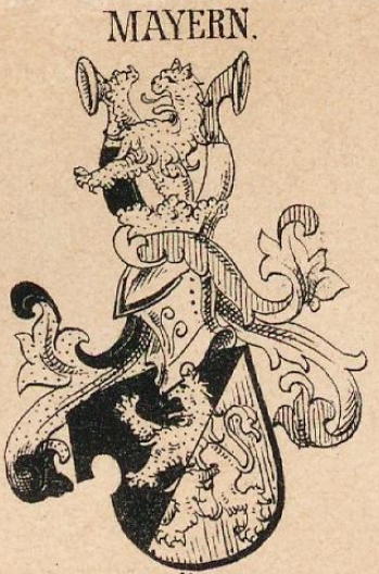 Mayern Coat of Arms / Family Crest 5