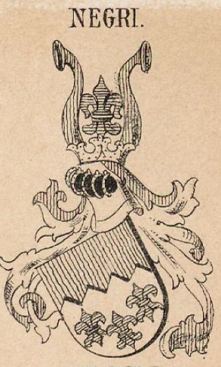 Negri Coat of Arms / Family Crest 24