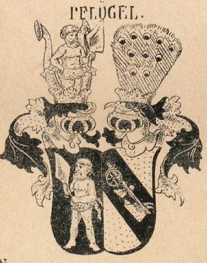 Pflugel Coat of Arms / Family Crest 1