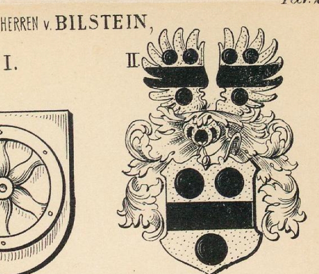 Bilstein Coat of Arms / Family Crest 4