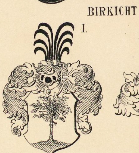Birkicht Coat of Arms / Family Crest 1