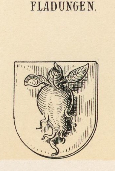 Fladungen Coat of Arms / Family Crest 1