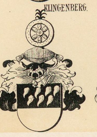 Klingenberg Coat of Arms / Family Crest 0