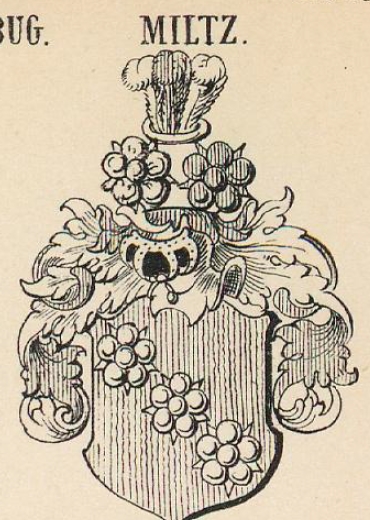 Miltz Coat of Arms / Family Crest 3