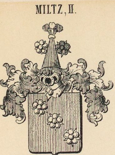 Miltz Coat of Arms / Family Crest 4