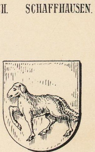 Schaffhausen Coat of Arms / Family Crest 2