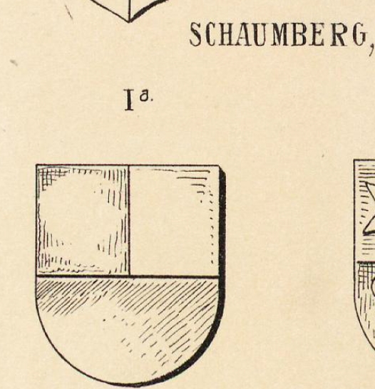 Schaumberg Coat of Arms / Family Crest 1