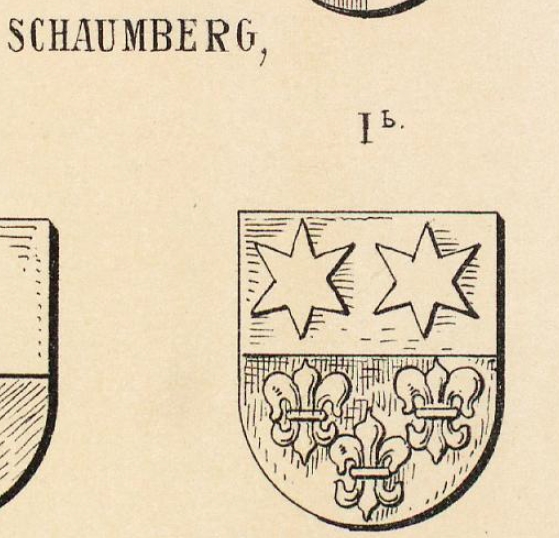 Schaumberg Coat of Arms / Family Crest 2