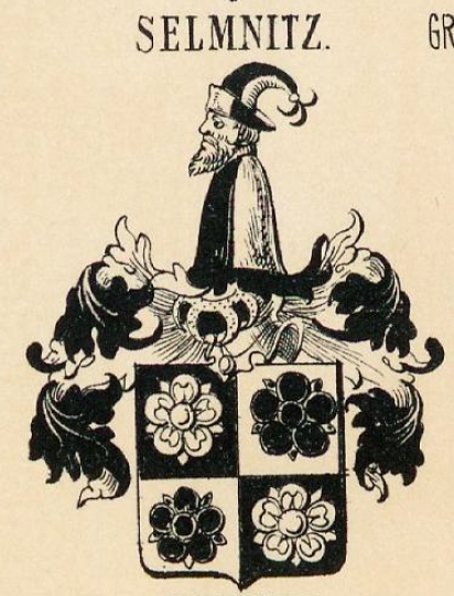 Selmnitz Coat of Arms / Family Crest 1