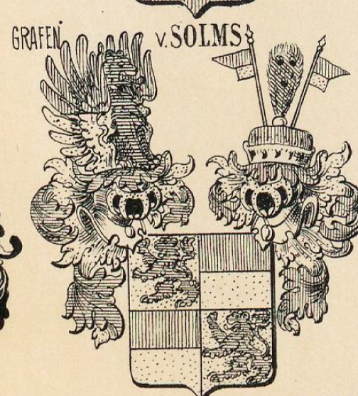 Solms Coat of Arms / Family Crest 0